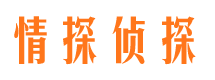 河南侦探公司